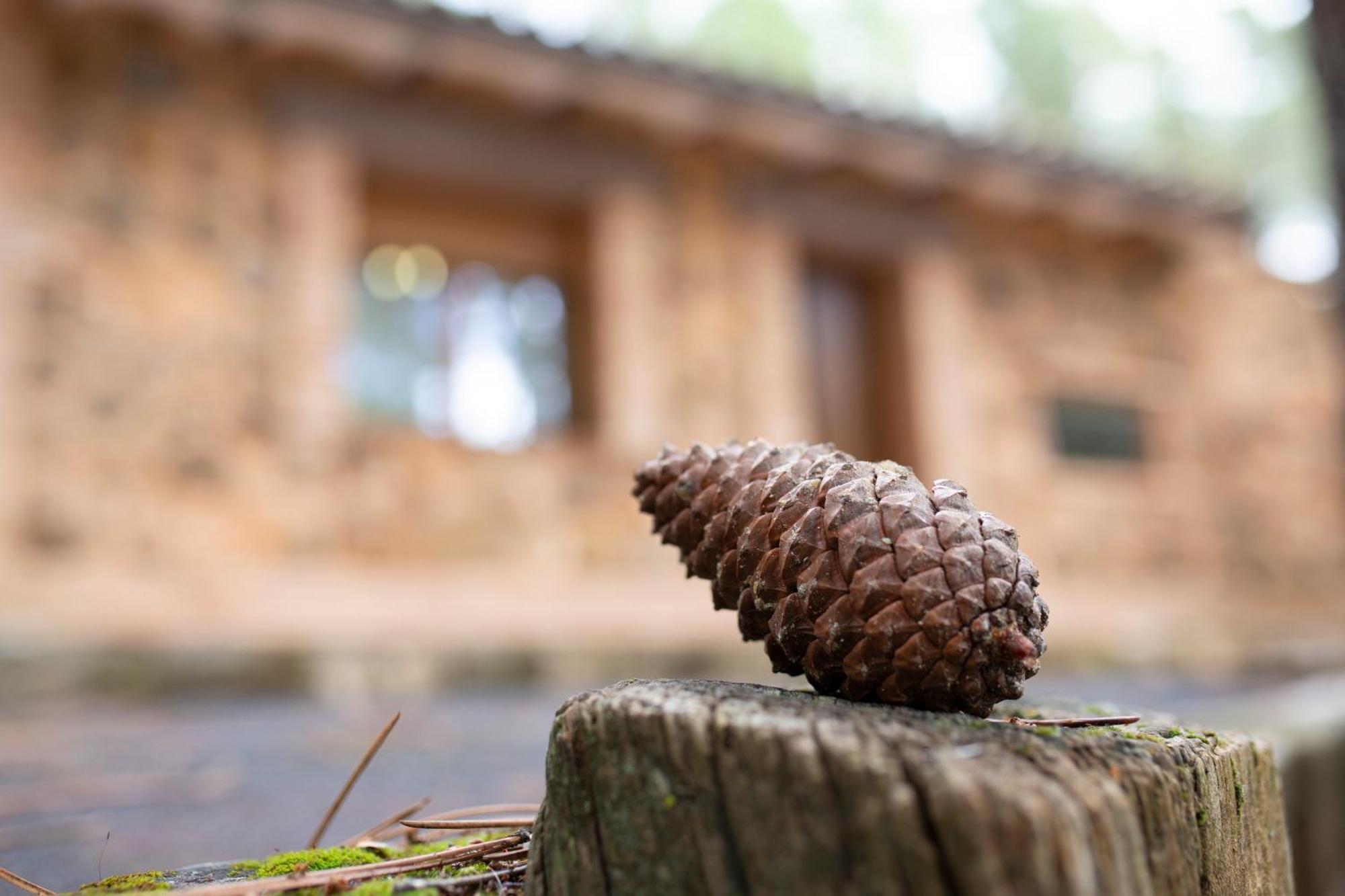 Casa Rural Riopar, Luxury In Nature Kültér fotó
