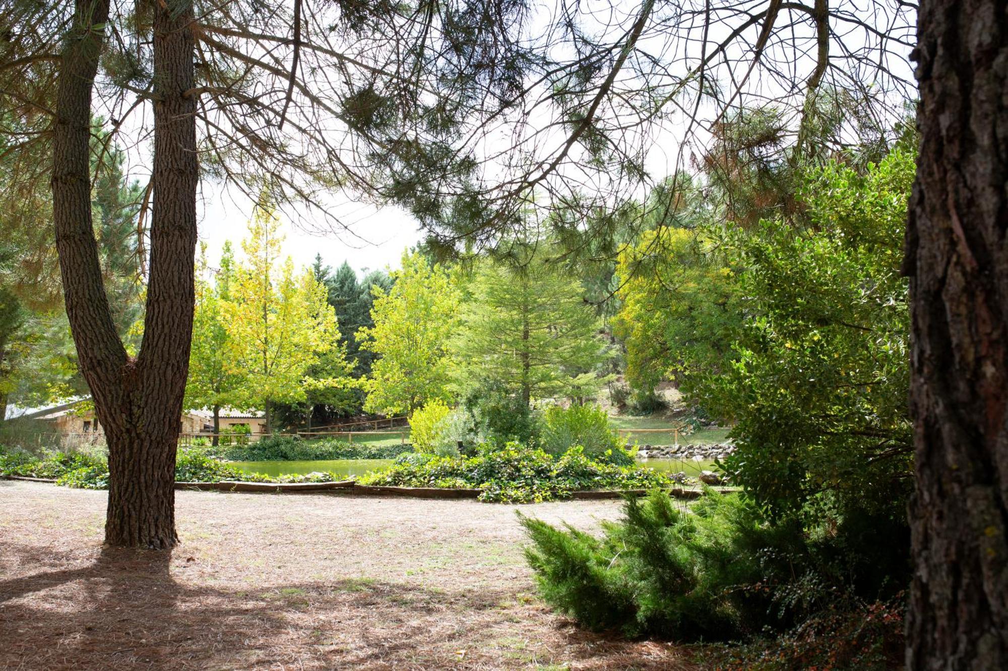 Casa Rural Riopar, Luxury In Nature Kültér fotó